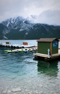 f6bd35d5-d126-4d52-8b7c-03d0e3ca296d